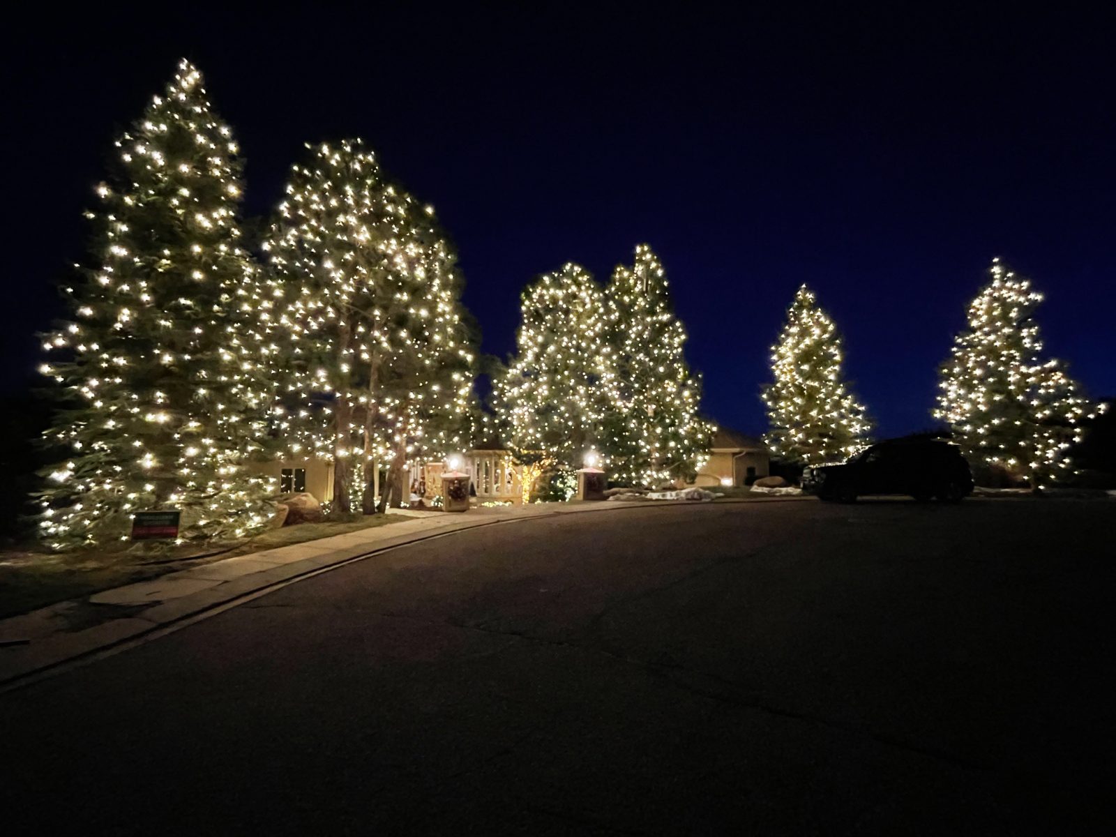 Evergreens wrapped in warm white lights along a residential street