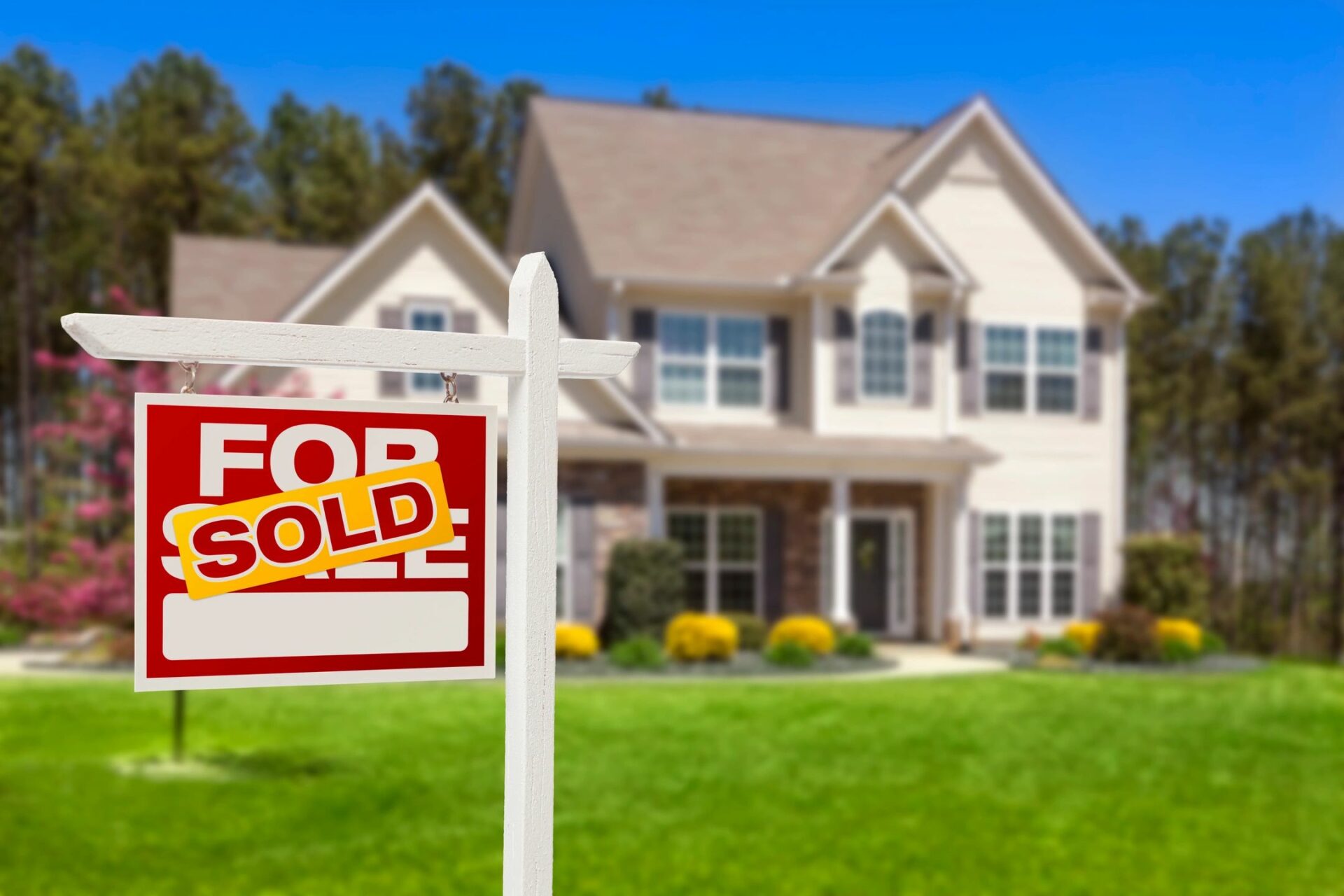 1636 Professional cleaning service restores home for successful sale