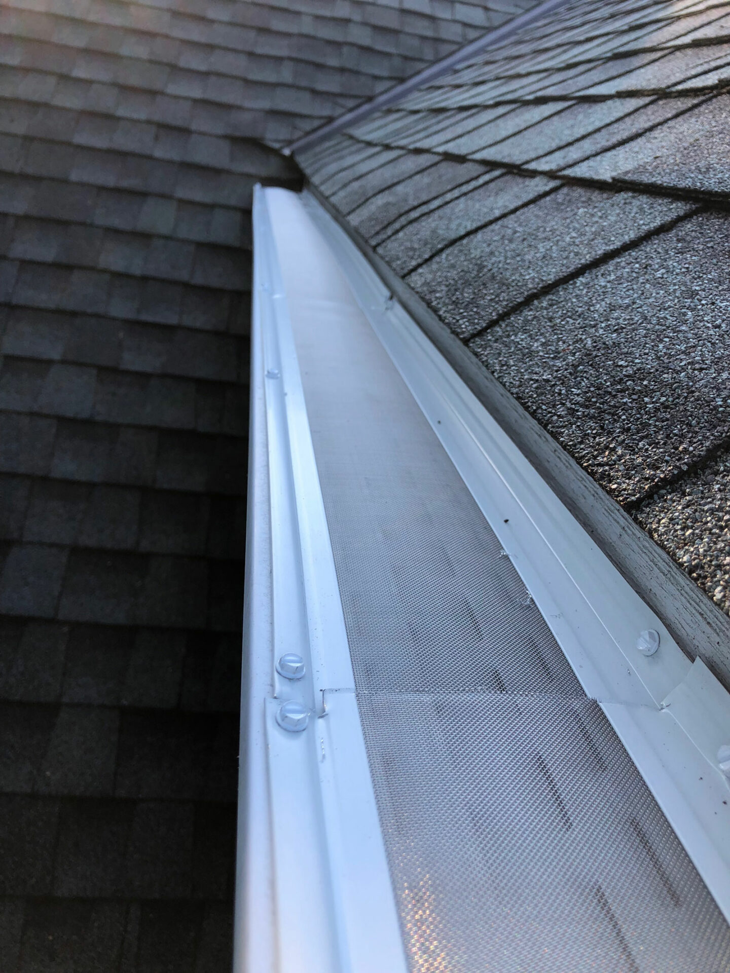 Moss coated roof prior to a professional cleaning service in Washington State