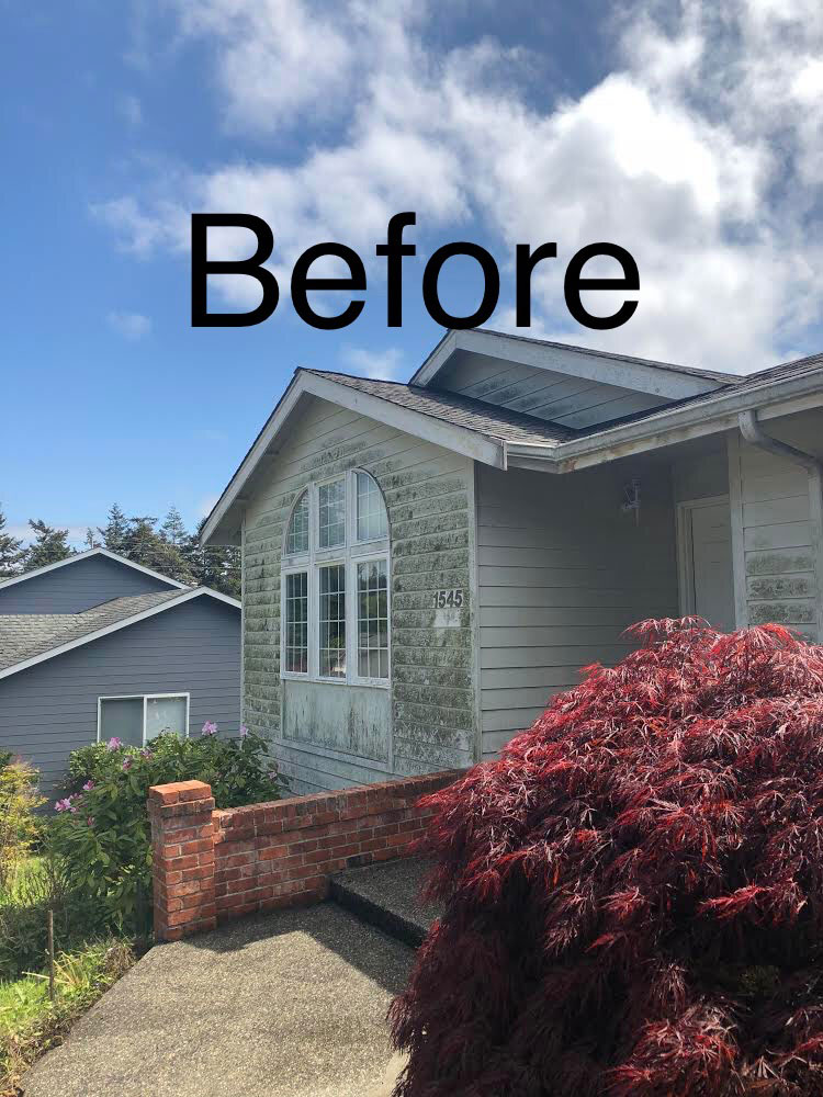 Dirty house siding prior to professional cleaning in Washington State