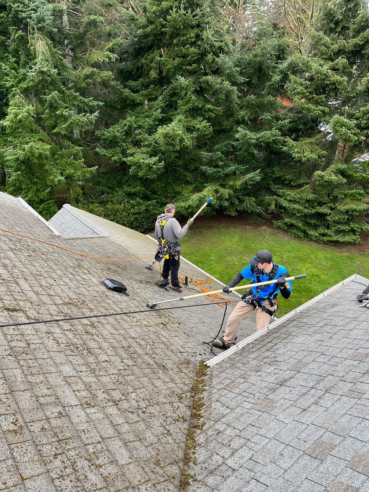 roof cleaning service