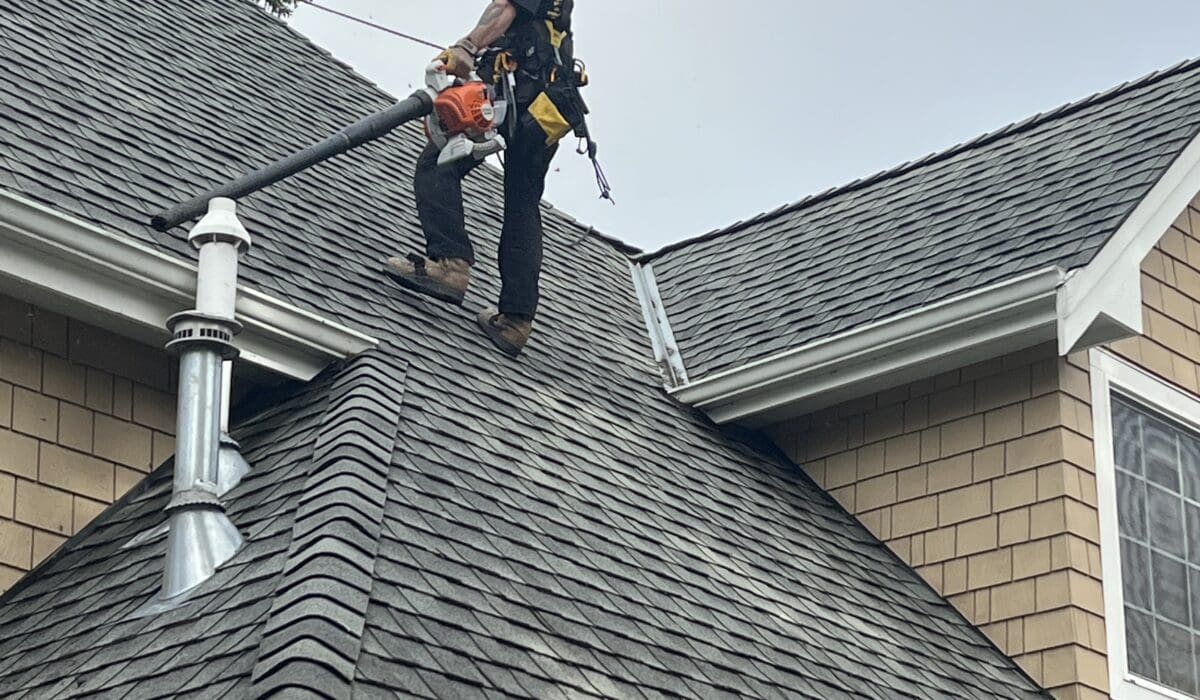 gutter cleaning