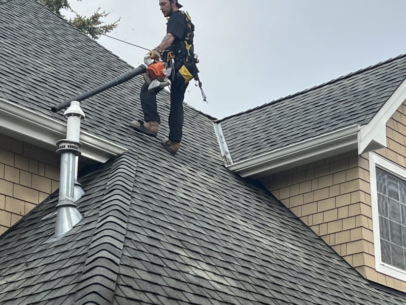 gutter cleaning